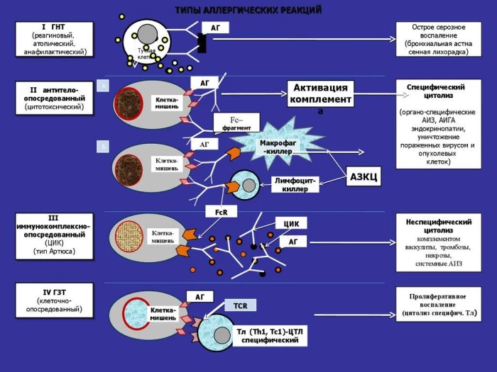 Типы аллергических реакций