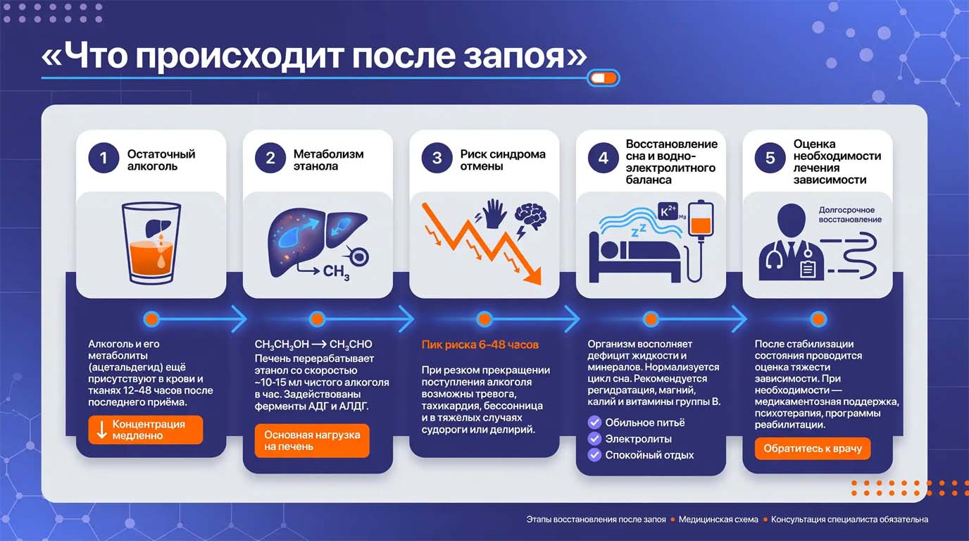 Инфографика Что происходит после запоя