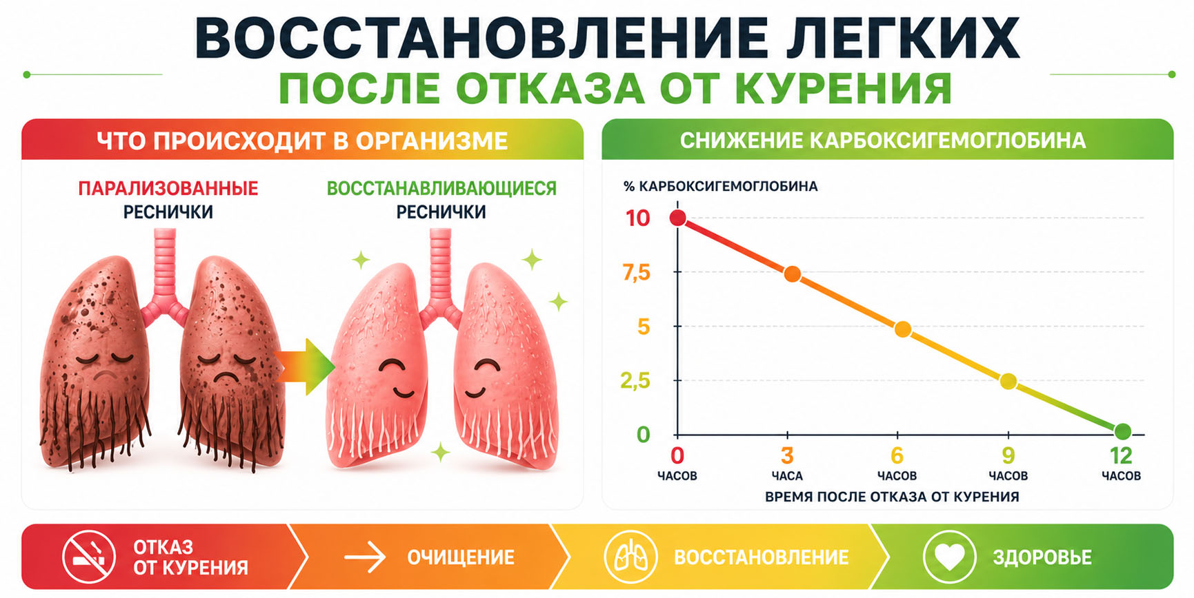 Инфографика восстановления легких